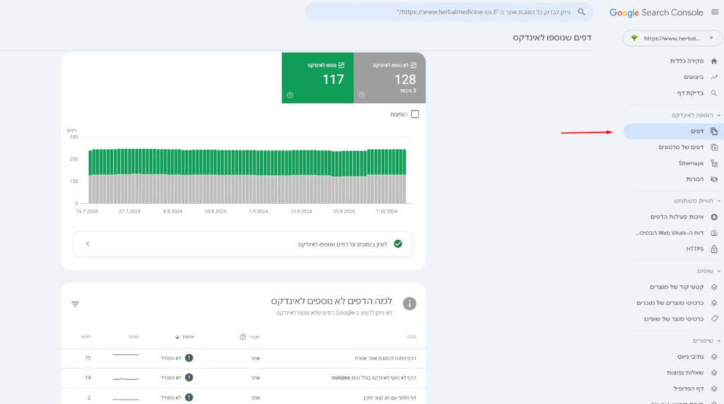 למה הדפים לא נוספים לאינדקס בגוגל סרצ קונסול
